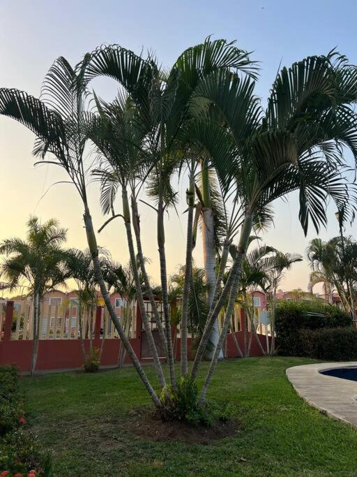 Casa Con Alberca A 8 Min De Playa Appartement Ixtapa  Buitenkant foto